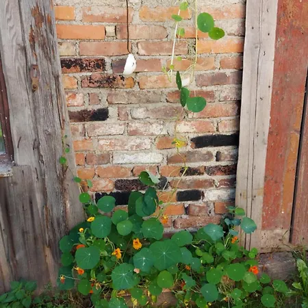 Z Dusza Szklarska Poręba